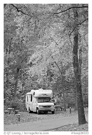 RV in campground with fall colors. Hot Springs National Park (black and white)