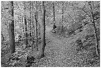 Trail and trees in fall colors, Gulpha Gorge. Hot Springs National Park, Arkansas, USA. (black and white)