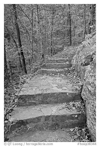 Stone steps on trail in forest with fall foliage, Gulpha Gorge. Hot Springs National Park (black and white)