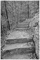 Stone steps on trail in forest with fall foliage, Gulpha Gorge. Hot Springs National Park, Arkansas, USA. (black and white)