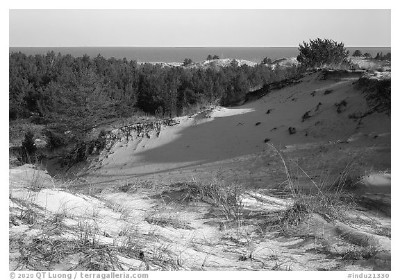 Dunes and Lake Michigan, Dune Succession Trail. Indiana Dunes National Park, Indiana, USA.