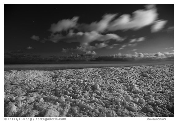 Shelf ice and Lake Michigan by moonlight, West Beach. Indiana Dunes National Park (black and white)