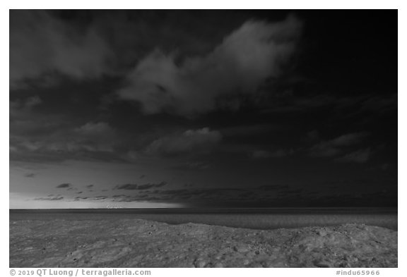 Distant Chicago skyline from West Beach at night. Indiana Dunes National Park (black and white)