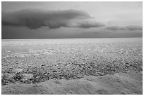 Frozen Lake Michigan from base of Mount Baldy. Indiana Dunes National Park ( black and white)