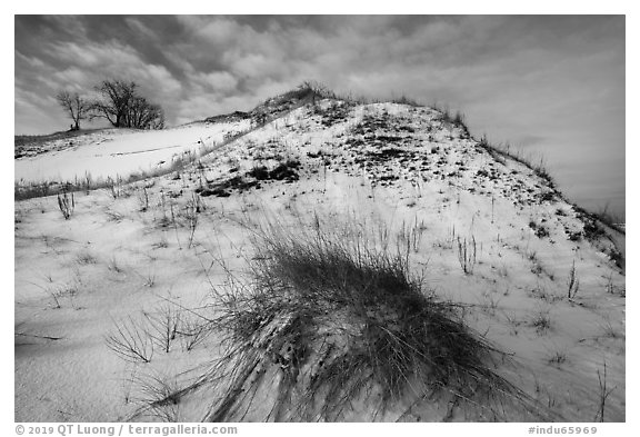 Mount Baldy dune and grass with snow. Indiana Dunes National Park (black and white)