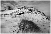 Mount Baldy dune and grass with snow. Indiana Dunes National Park ( black and white)