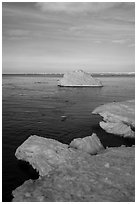 Shelf ice and iceberg, Lake View. Indiana Dunes National Park ( black and white)
