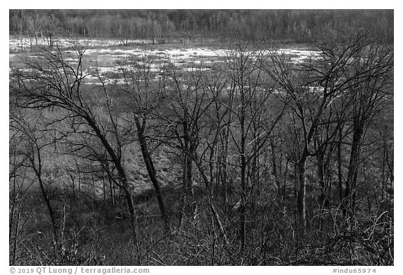 Great Marsh from Dune Ridge Trail. Indiana Dunes National Park (black and white)