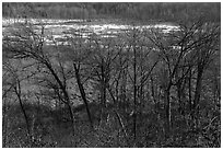 Great Marsh from Dune Ridge Trail. Indiana Dunes National Park ( black and white)