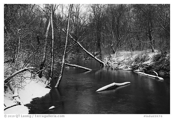 Little Calumet River with fresh snow, Heron Rookery Trail. Indiana Dunes National Park (black and white)