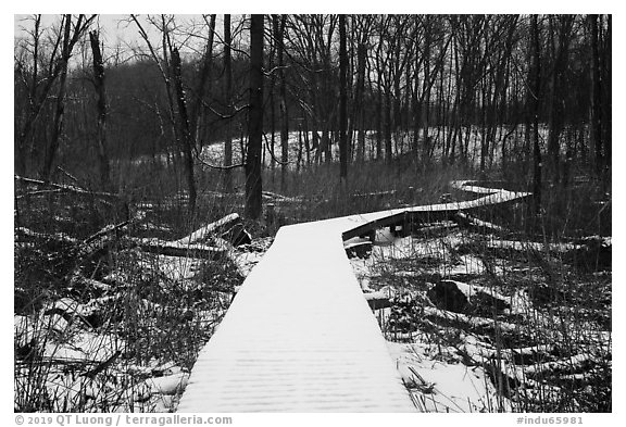 Snow-covered boardwalk, Little Calumet River Trail. Indiana Dunes National Park (black and white)