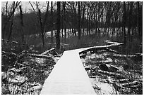 Snow-covered boardwalk, Little Calumet River Trail. Indiana Dunes National Park ( black and white)