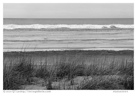 Dune, Marram Grass, and beach with shelf ice, Paul Douglas Trail. Indiana Dunes National Park (black and white)