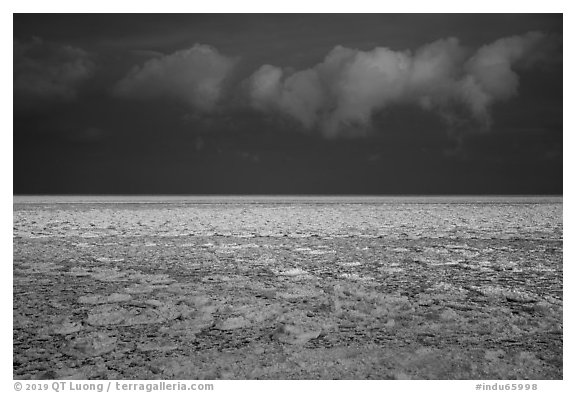 Frozen Lake Michigan at sunrise. Indiana Dunes National Park (black and white)