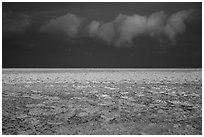 Frozen Lake Michigan at sunrise. Indiana Dunes National Park ( black and white)