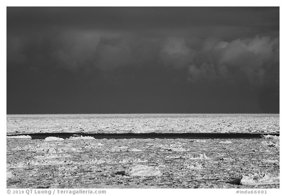 Frozen Lake Michigan. Indiana Dunes National Park (black and white)