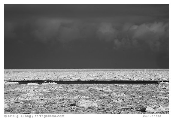 Frozen Lake Michigan. Indiana Dunes National Park (black and white)