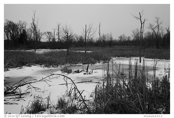 Great Marsh at dusk in winter. Indiana Dunes National Park (black and white)