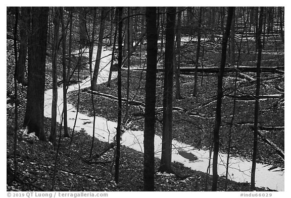 Frozen stream in ravine near Chellberg Farm. Indiana Dunes National Park (black and white)