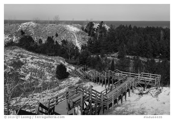 Dune Succession Trail stairs. Indiana Dunes National Park (black and white)