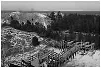 Dune Succession Trail stairs. Indiana Dunes National Park ( black and white)