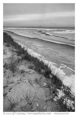 Dune, grasses, beach, and ice. Indiana Dunes National Park (black and white)