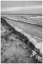 Dune, grasses, beach, and ice. Indiana Dunes National Park ( black and white)