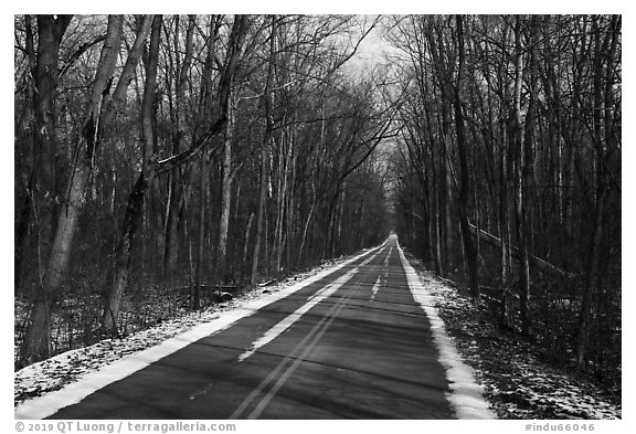 Narrow road in winter. Indiana Dunes National Park (black and white)