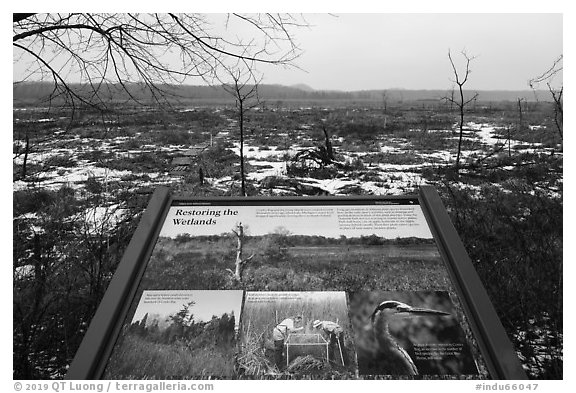 Restoring wetlands interpretive sign. Indiana Dunes National Park (black and white)