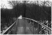 Boardwalk, Cowles Bog Trail. Indiana Dunes National Park ( black and white)