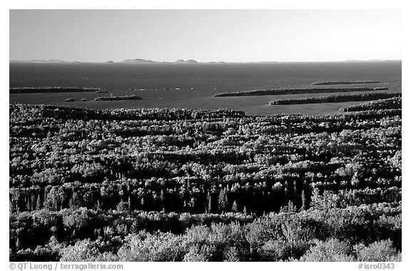 View from Mount Franklin. Isle Royale National Park (black and white)