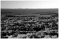 View from Mount Franklin. Isle Royale National Park, Michigan, USA. (black and white)