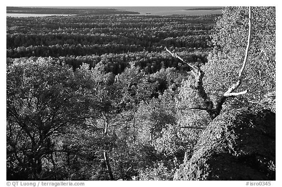 View over forests from Mount Franklin. Isle Royale National Park (black and white)