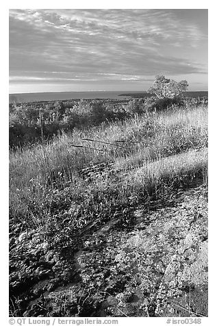 Grasses and Lake Superior seen  from  Greenstone ridge, morning. Isle Royale National Park (black and white)