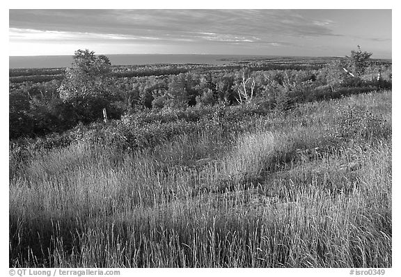 Grasses, distant forest and Lake Superior from  Greenstone ridge. Isle Royale National Park, Michigan, USA.