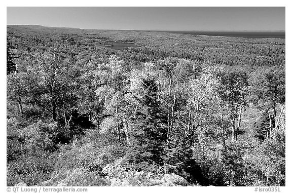 Forested view with Sargent Lake and Lake Superior in the distance. Isle Royale National Park, Michigan, USA.