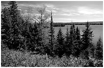 Lake Richie. Isle Royale National Park, Michigan, USA. (black and white)