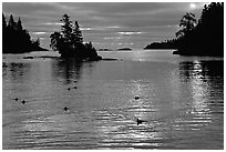 Loons, early morning on Chippewa harbor. Isle Royale National Park, Michigan, USA. (black and white)