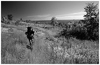 Backpacker walking on Greenstone ridge trail. Isle Royale National Park, Michigan, USA. (black and white)