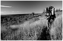 Backpacker pausing on Greenstone ridge trail. Isle Royale National Park, Michigan, USA. (black and white)