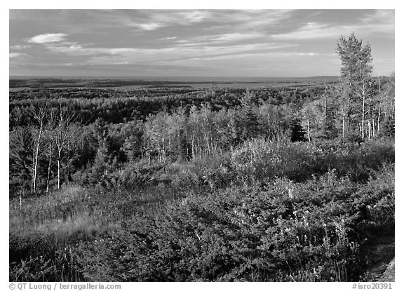 Lake Ojibway from Greenstone ridge in autumn. Isle Royale National Park (black and white)