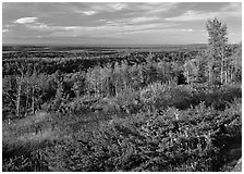 View from Greenstone ridge, looking towards Siskiwit lake. Isle Royale National Park ( black and white)