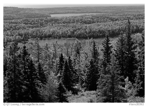 Lakes and forest from Mt Ojibway. Isle Royale National Park (black and white)