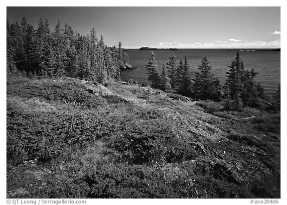 Rock Harbor lakeshore. Isle Royale National Park (black and white)