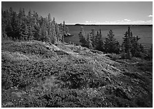 Rock Harbor lakeshore. Isle Royale National Park ( black and white)