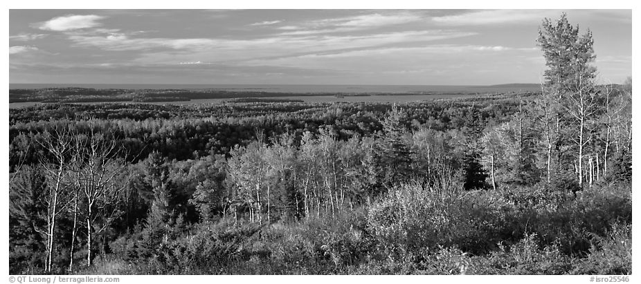Fall landscape with forest stretching to lakeshore. Isle Royale National Park (black and white)