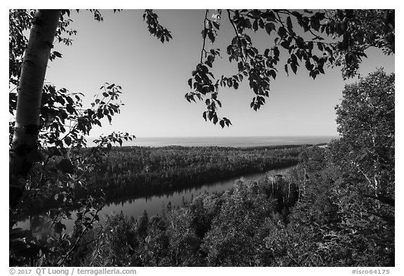 View from Louise Lookout framed by trees. Isle Royale National Park (black and white)