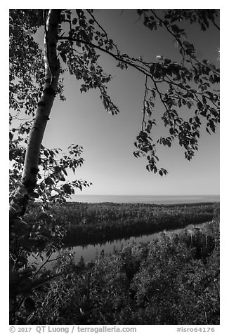 View from Louise Lookout in the summer. Isle Royale National Park (black and white)