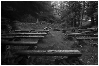 Amphitheater, Rock Harbor. Isle Royale National Park ( black and white)