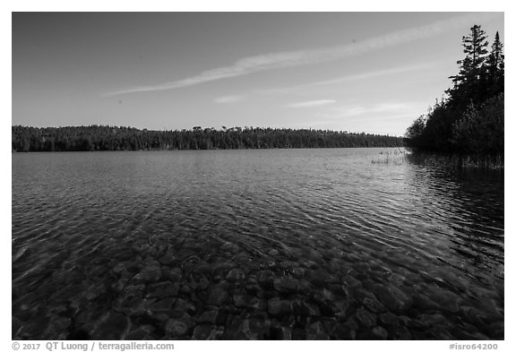 Stones seen through clear water, Tobin Harbor. Isle Royale National Park (black and white)